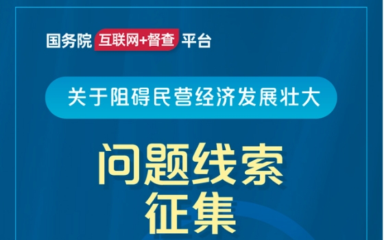 國務院互聯網+督查
